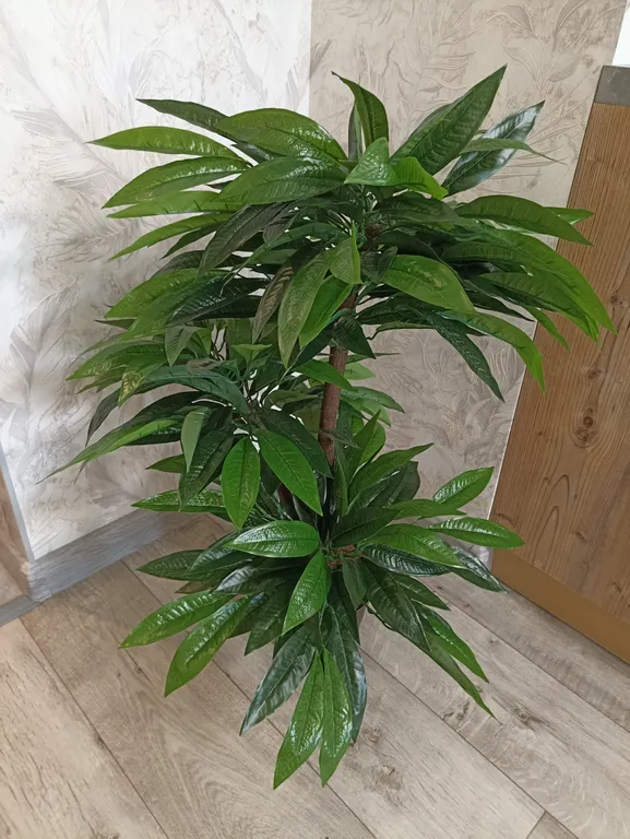 Дизайнерская студия у ФОК Арена