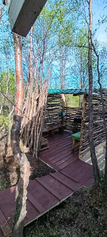 Дом у Светланы Алешиной