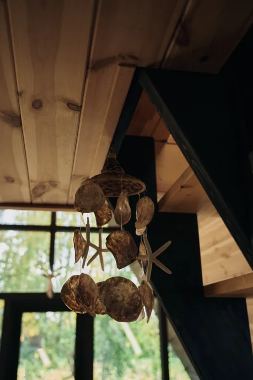 Шале в Беловежской Пуще Forest Soul Aframe