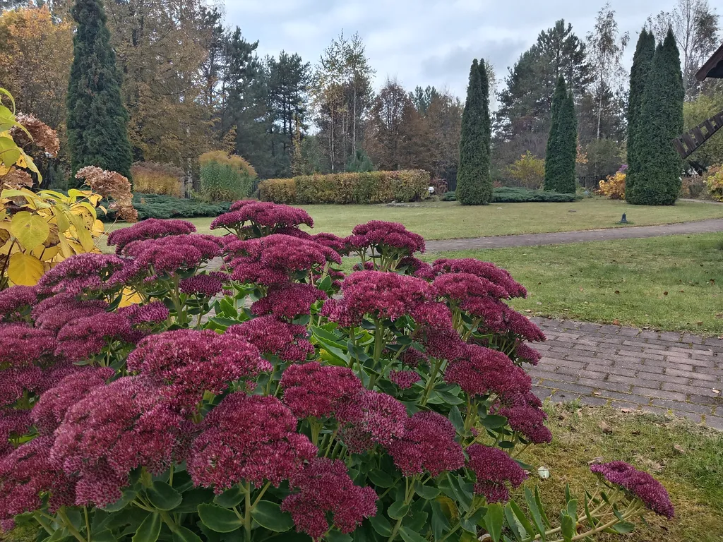 Домик с русской печкой и со всеми удобствами