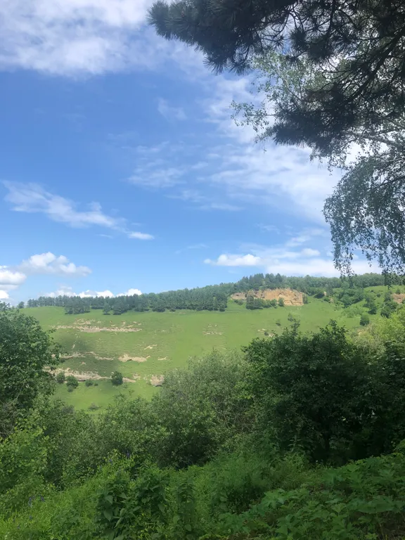 Квартира в парковой зоне