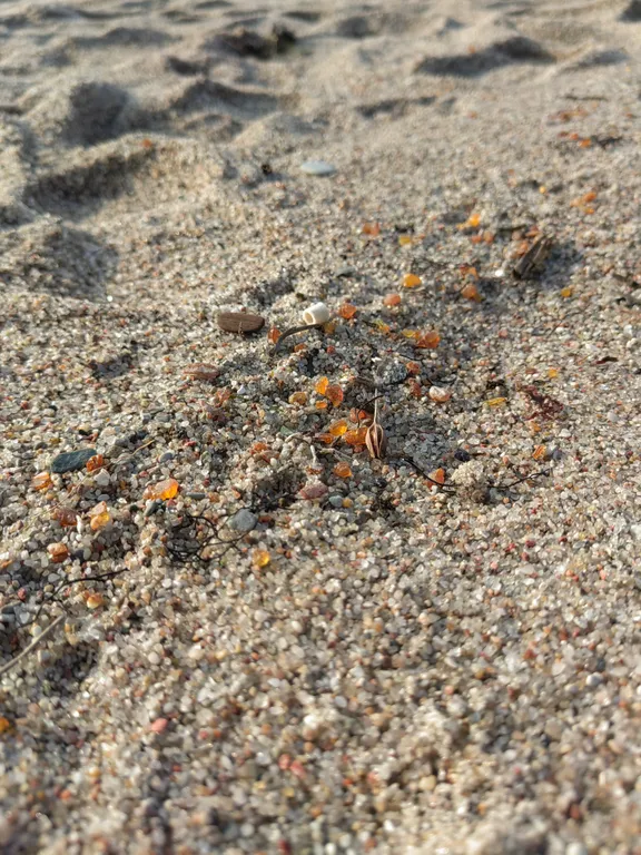 Уютные апартаменты Янтарь