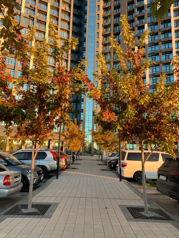 Квартира на берегу Волги