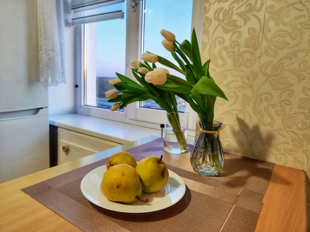 Квартира Уютная квартира с шикарным видом на стадион и набережную реки Преголя — Калининград