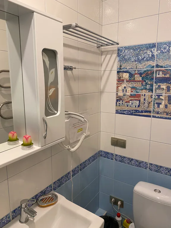 Изящная квартира с двумя санузлами