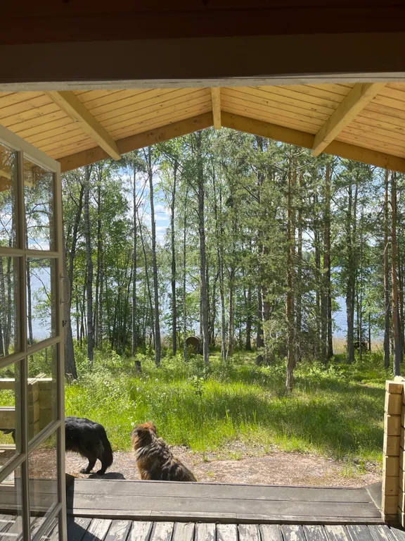 Домики на озере