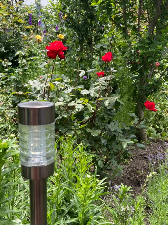 Уютная комната около моря