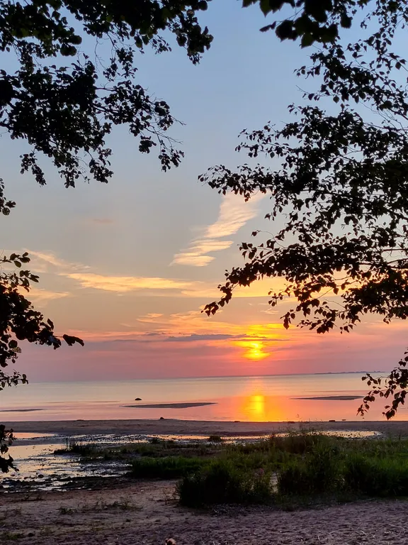 Стильный дом у озера Разлив