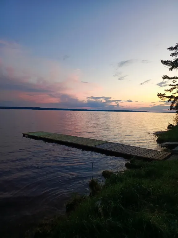 Домик в лесу