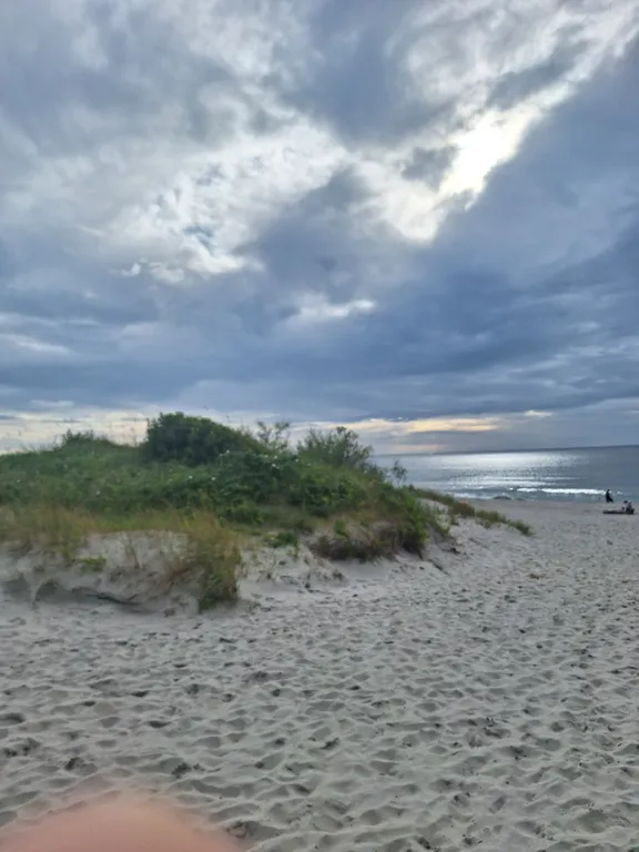 Светлая студия