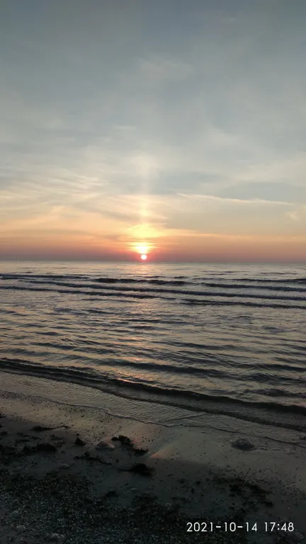 Ракушка Казантипа