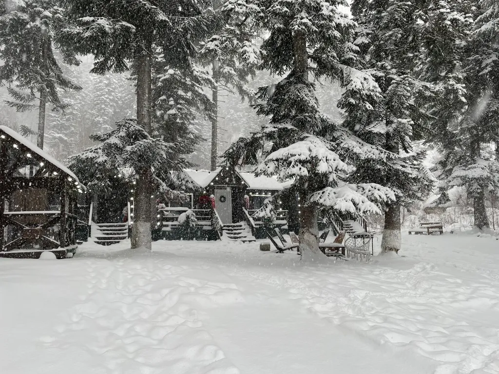 Коттедж 2-комнатный Дом — Архыз