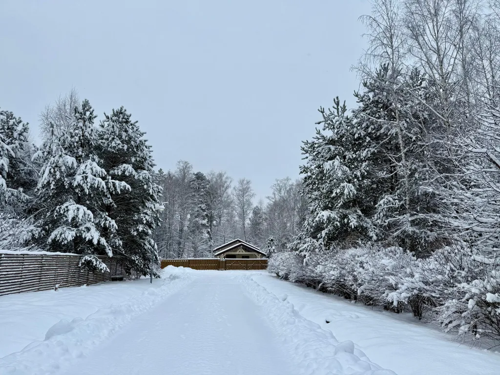 Домик в лесу