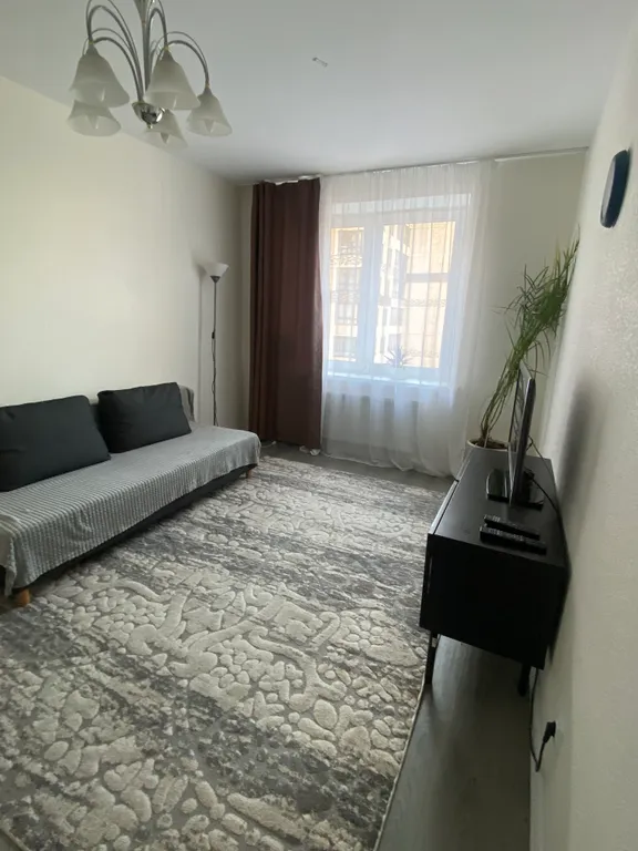 Квартира Однокомнатная квартира с видом на Смольный собор — Санкт-Петербург