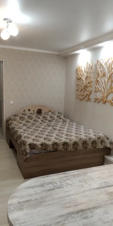 Уютная квартира в центре курортной зоны — аренда посуточно в Железноводск