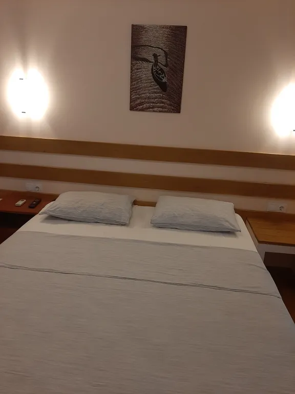 Кактус у моря