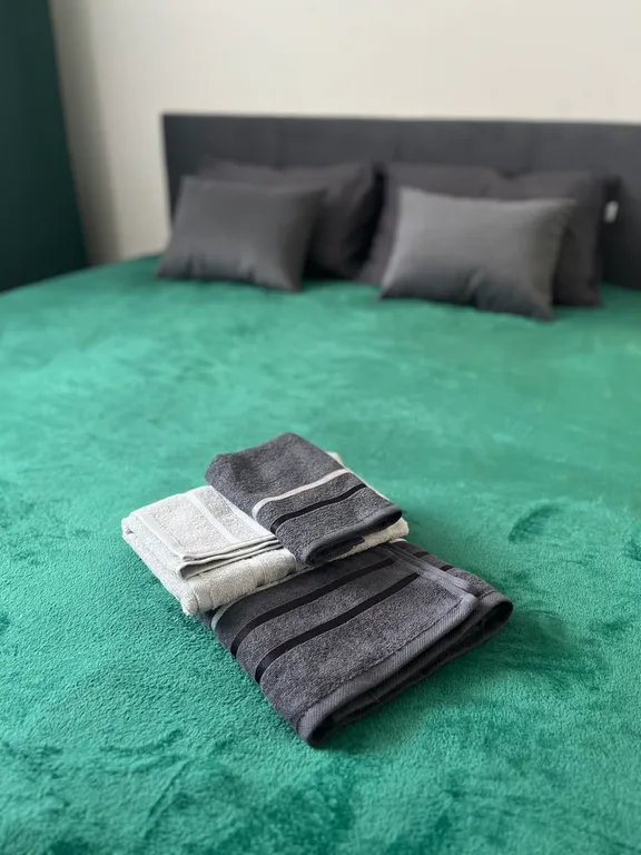 1-комнатная Квартира — аренда посуточно в Мурино