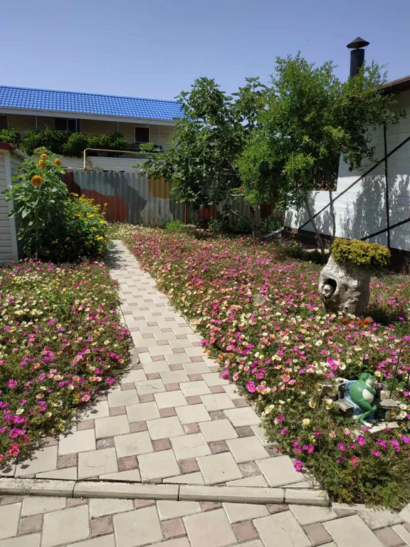 Домик у моря