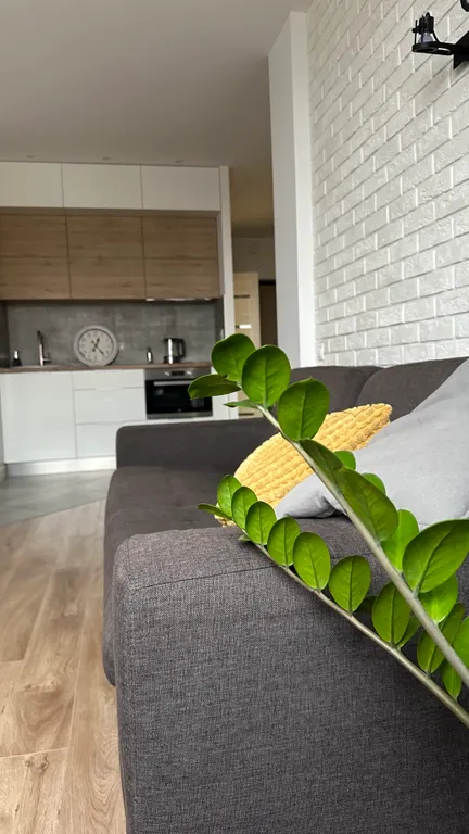 Уютная светлая квартира