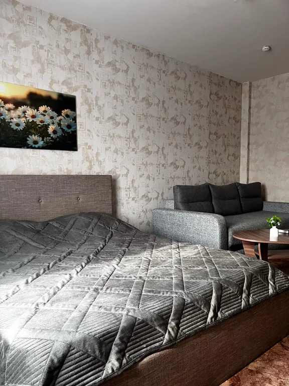 Квартира Уютная квартира центральный район, Советский, Покровский, кардиоцентр — Красноярск