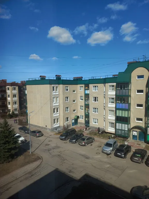 Квартира Просторная квартира около парка и института Турнера — Пушкин