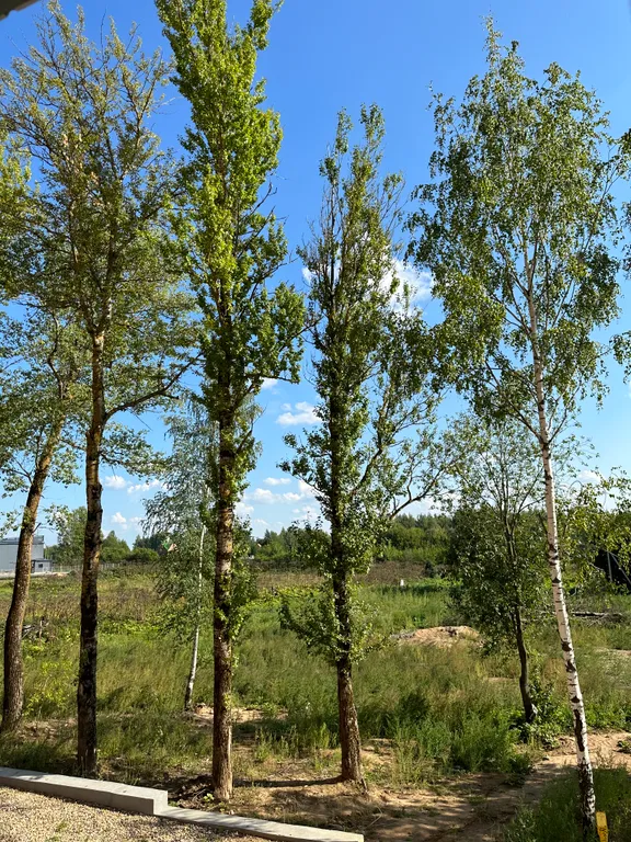 Уютная квартира с ремонтом в новом доме