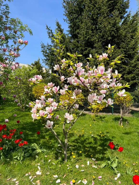 Квартира в ЖК Пионерские огни