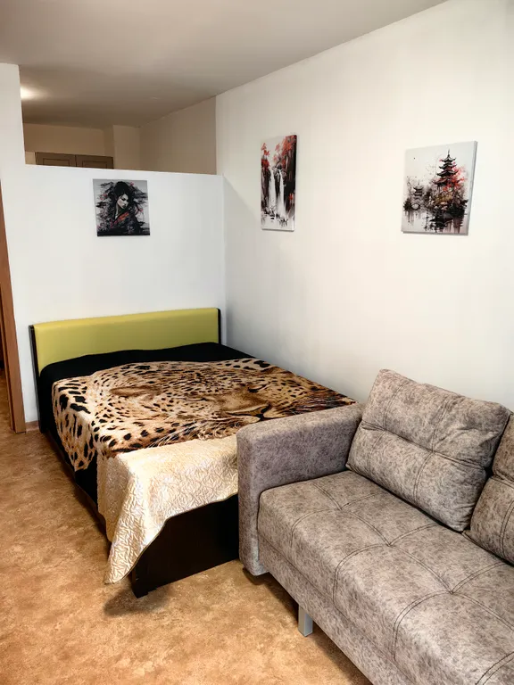 Комфортная квартира на берегу Енисея — аренда посуточно в Красноярск