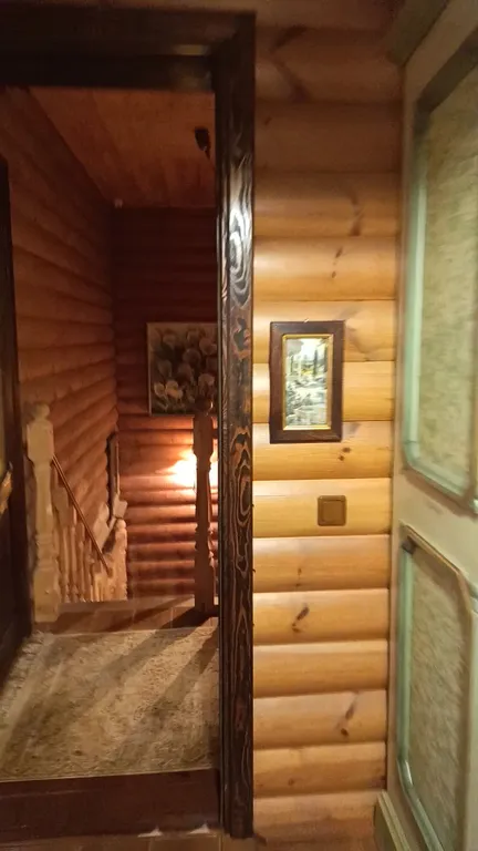 Изба (дом) из экологически чистого бревна под камышовой крышей в лесу