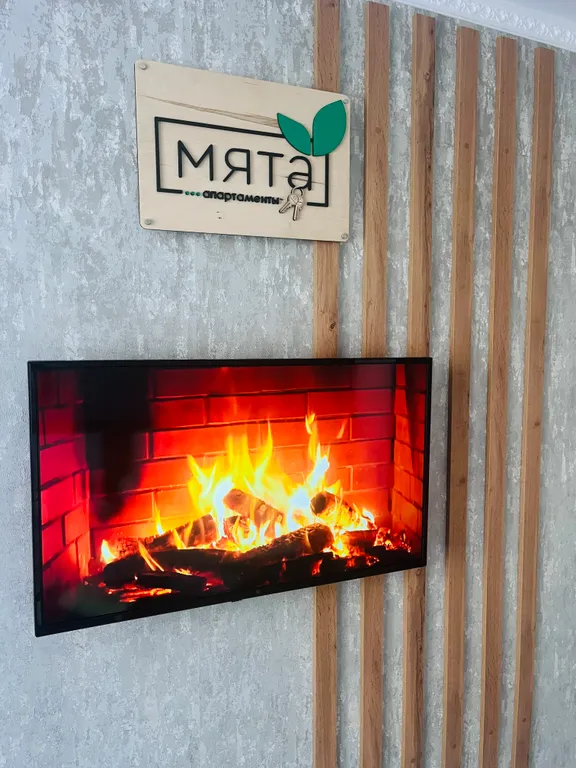 Апартаменты Мята Центр