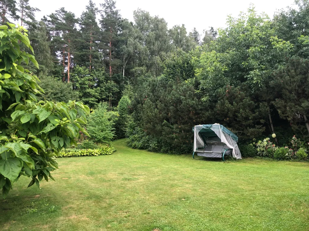 Wooden house Iconic Garden