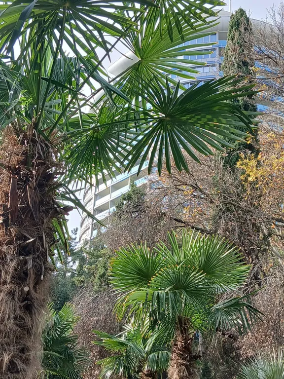 Уютный апартамент в ЖК Зазеркалье Ялта Приморский парк