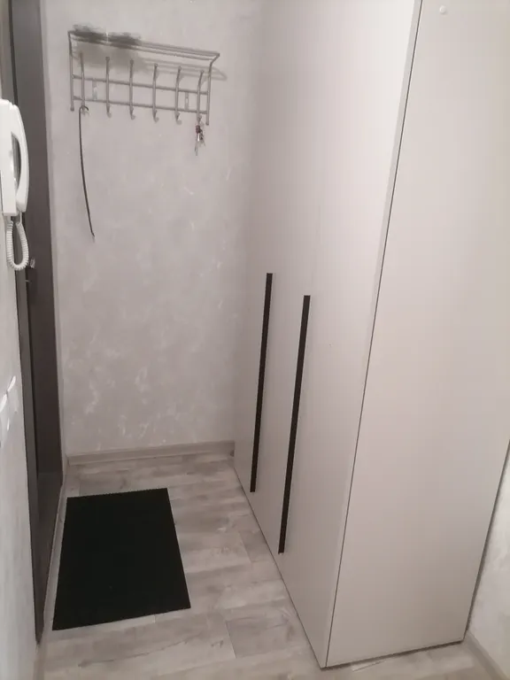 Однокомнатная квартира на Телецентре