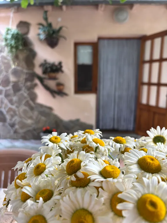 Домик с беседкой