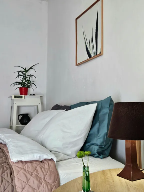 Ботаника гостевые апартаменты в центре на 6 гостей