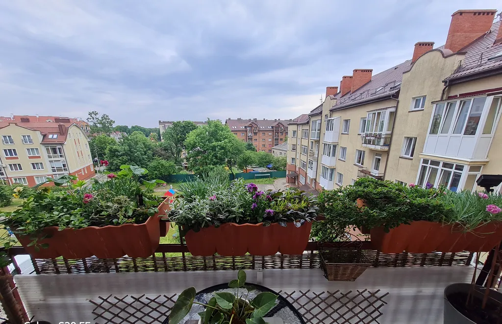 Уютная квартира у моря с сосновым бором