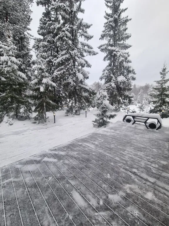 Коттедж Гостевой дом В ЁLКИ — Чална