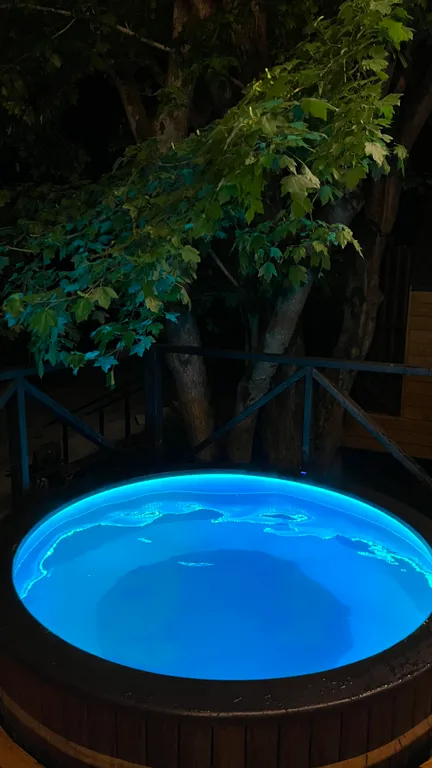 Дом с видом на лес рядом с горной рекой