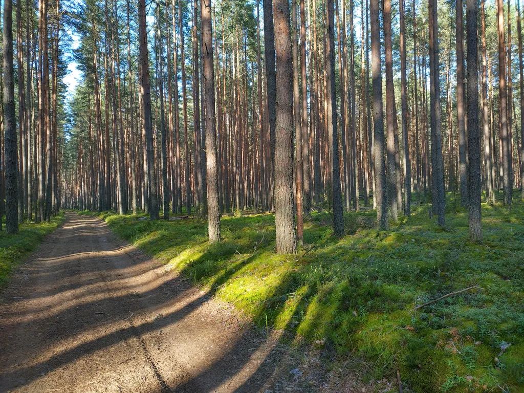 Дом на берегу протоки, ведущей в Вышневолоцкое водохранилище