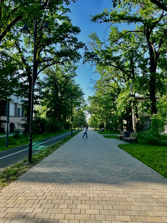 Прованс в центре Алматы