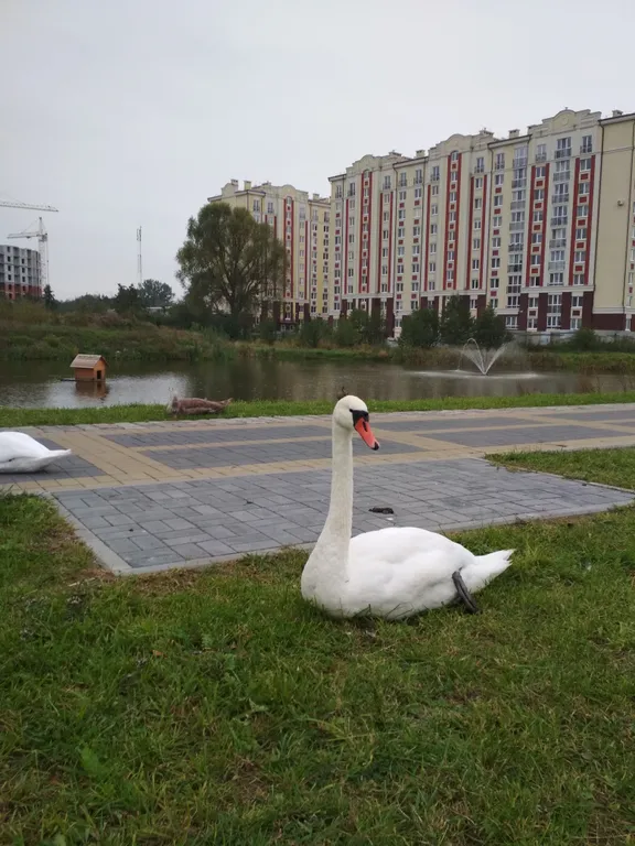 Уютная студия ждет гостей