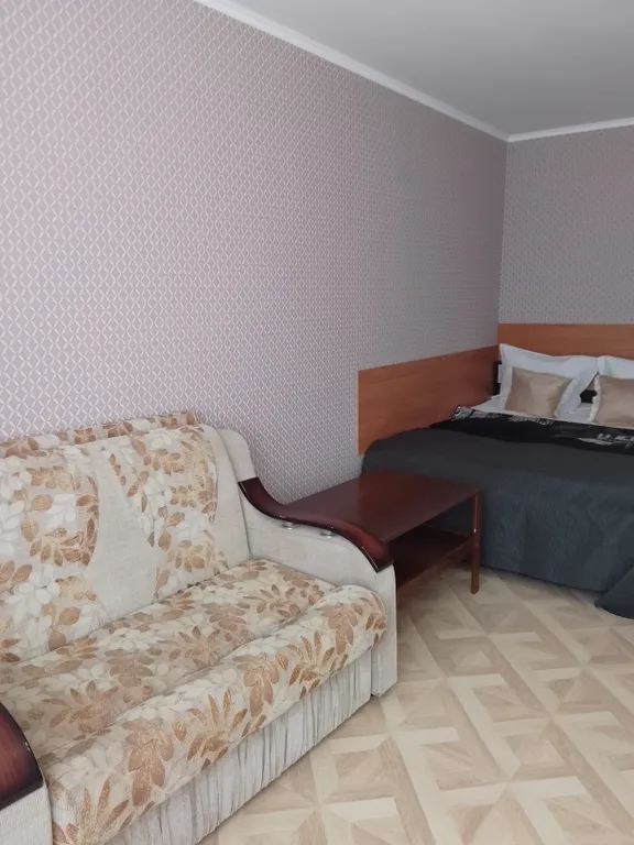 Квартира у автовокзала, Мегагринн