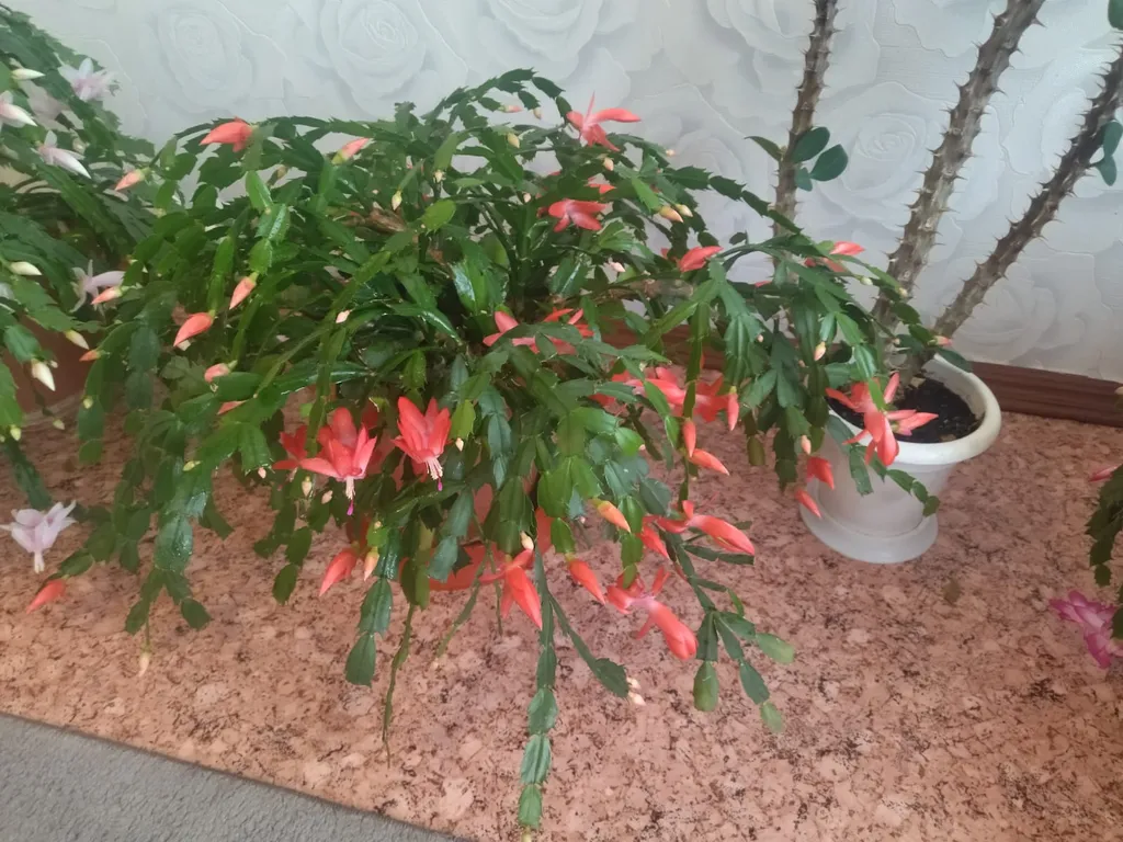 Квартира близко к термальным источникам