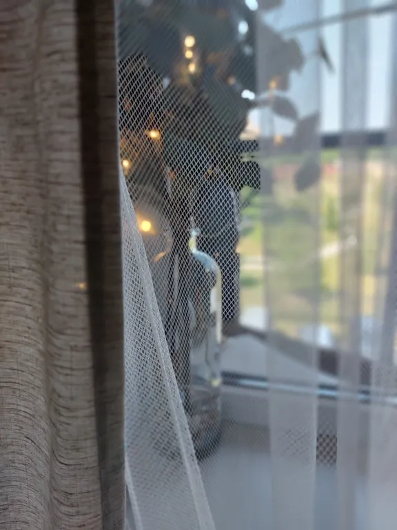 Квартира Квартира Eva appartments — Кронштадт