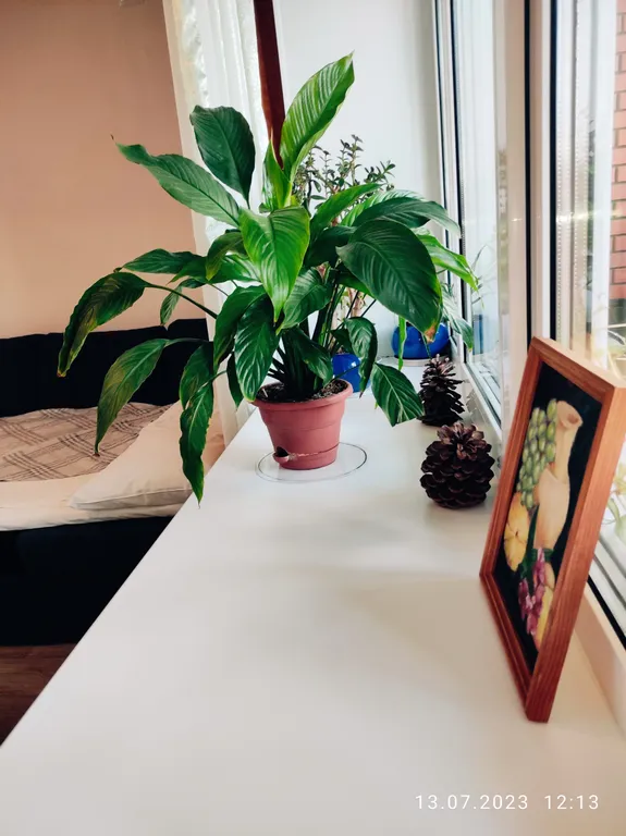 Просторная студия в новом доме