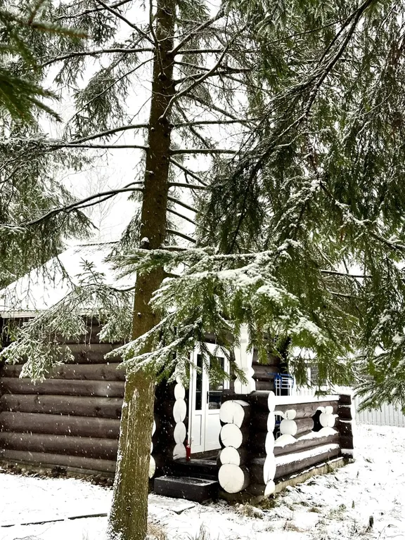 Уютный бревенчатый дом и баня, на одном участке