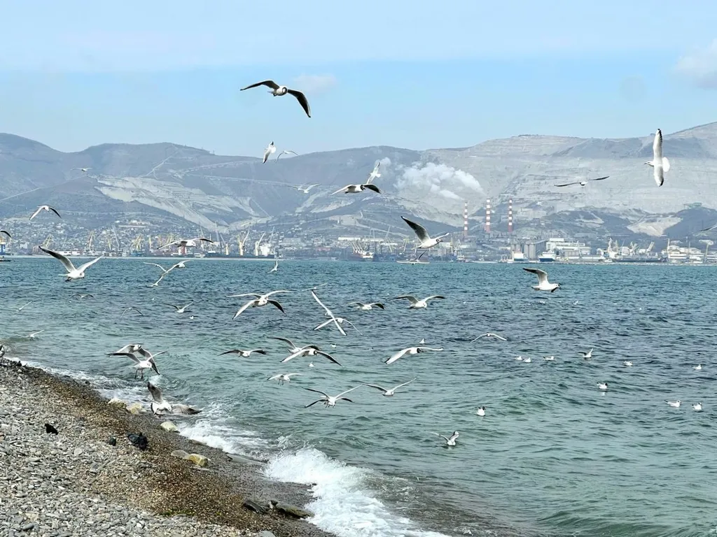 Квартира Квартира у моря — Новороссийск