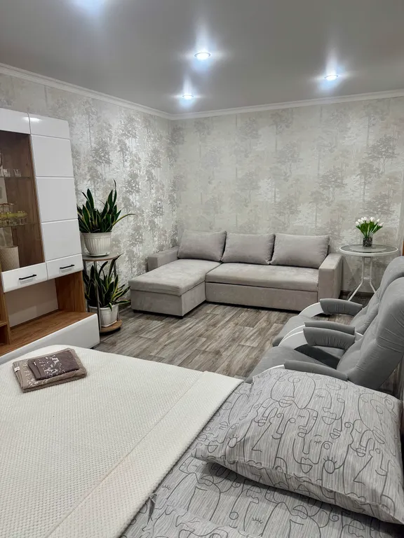 Квартира в центре со свежим ремонтом