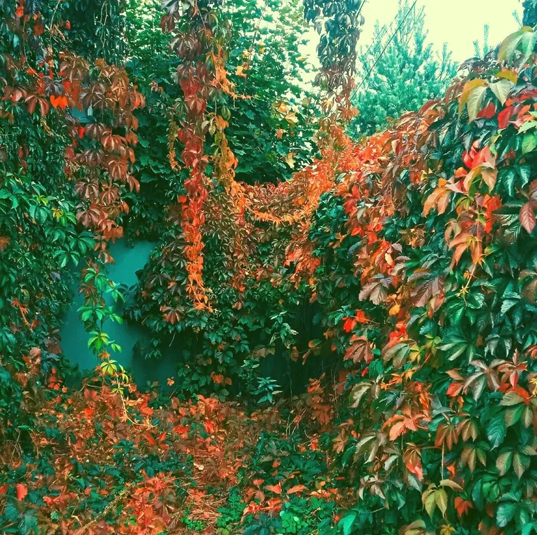 Уютный домик с русской банькой