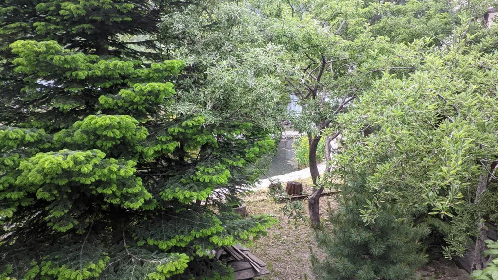 Коттедж Дом с баней и озером — Теберда